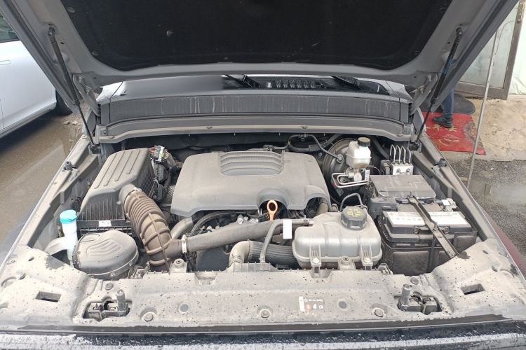 Used Tank 300 2024 2.0T Conqueror Engine Bay