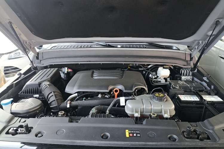 Used Tank 300 2024 2.0T Conqueror Engine Bay
