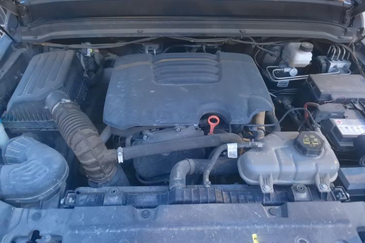Used Tank 300 2024 2.0T Conqueror Engine Bay