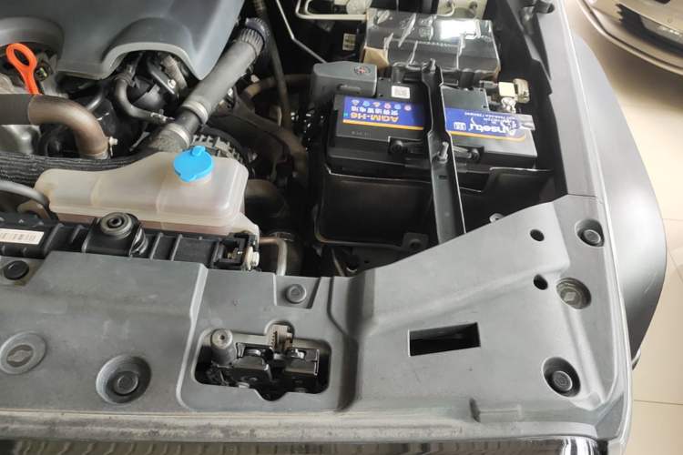 Used Tank 300 2024 2.0T Conqueror Engine Bay Left