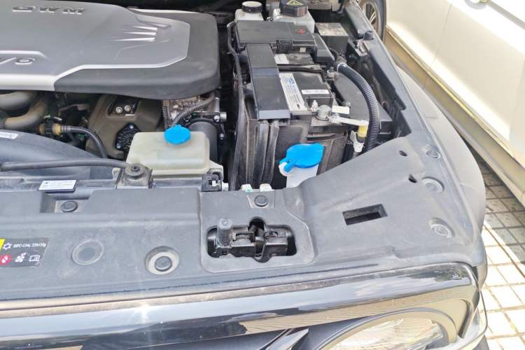 Used Tank 300 2024 330 3.0T V6 Engine Bay Left