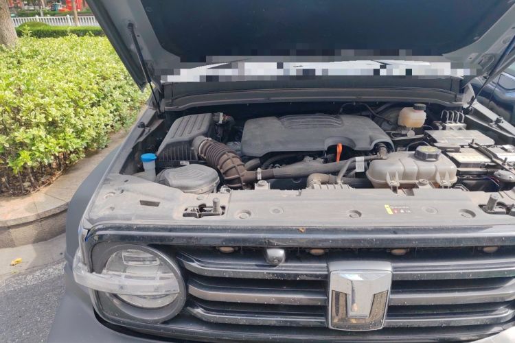 Used Tank 300 2024 2.0T Conqueror Engine Bay Right