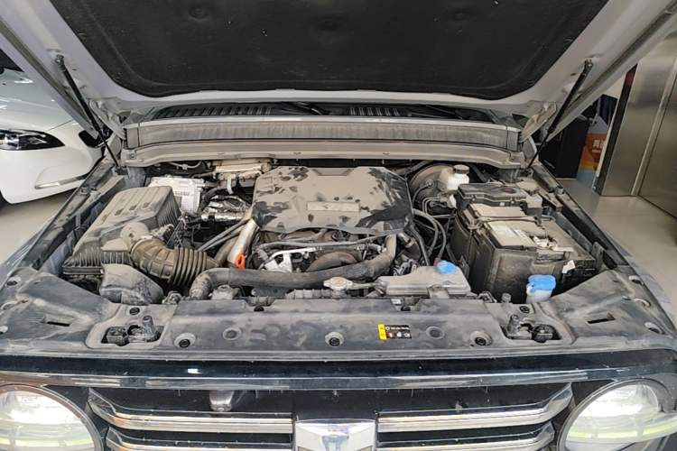 Used Tank 300 2024 2.0T Crosser Engine Bay