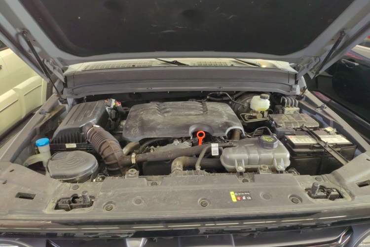 Used Tank 300 2024 2.0T Conqueror Engine Bay