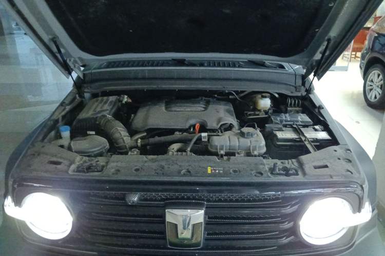 Used Tank 300 2024 2.0T Conqueror Engine Bay