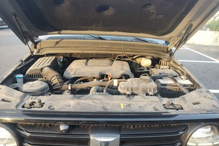 Used Tank 300 2024 2.0T Conqueror Engine Bay