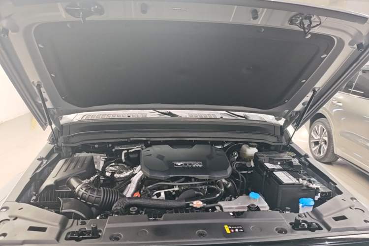 Used Tank 300 2024 2.0T Crosser Engine Bay