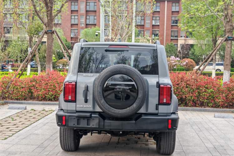 Used Tank 300 2024 2.0T Conqueror Exterior 5
