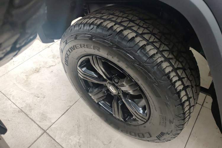 Used Tank 300 2024 2.0T Conqueror Exterior 8