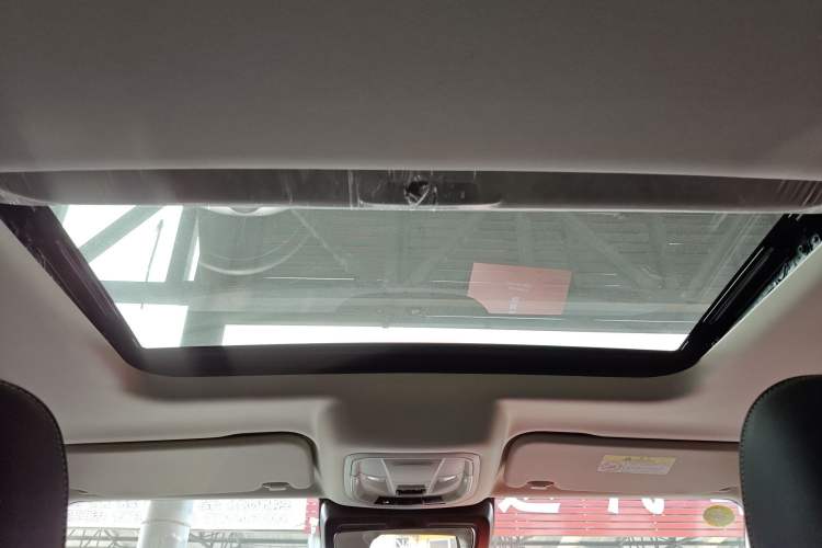 Used Tank 300 2024 2.0T Challenger Headliner