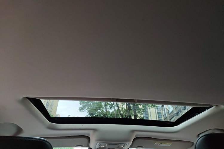 Used Tank 300 2024 2.0T Challenger Headliner