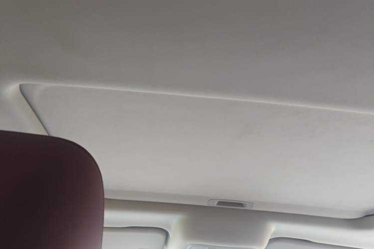 Used Tank 300 2024 330 3.0T V6 Headliner