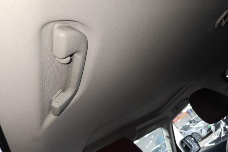 Used Tank 300 2024 2.0T Challenger Headliner