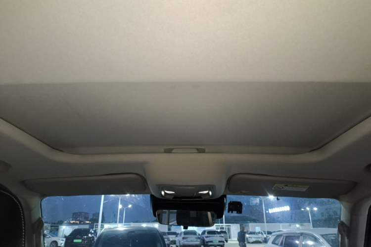 Used Tank 300 2024 2.0T Conqueror Headliner