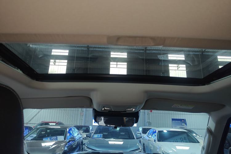 Used Tank 300 2024 2.0T Conqueror Headliner