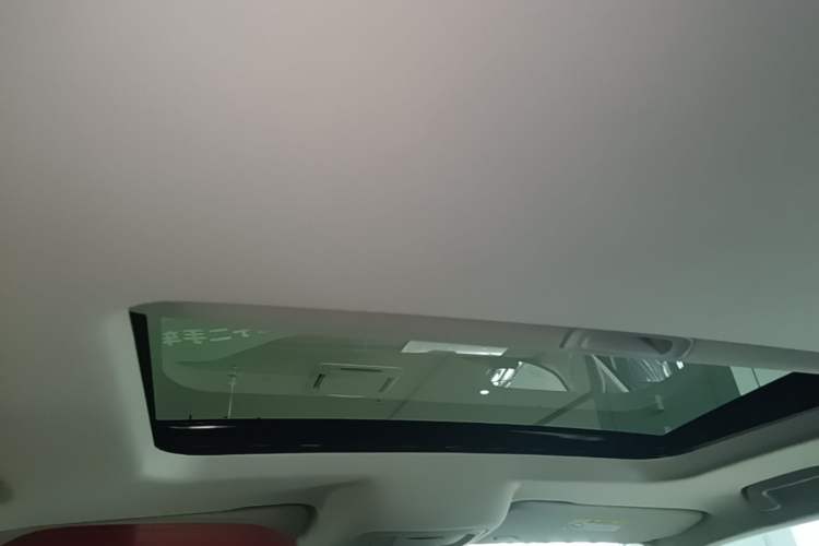 Used Tank 300 2024 2.0T Conqueror Headliner