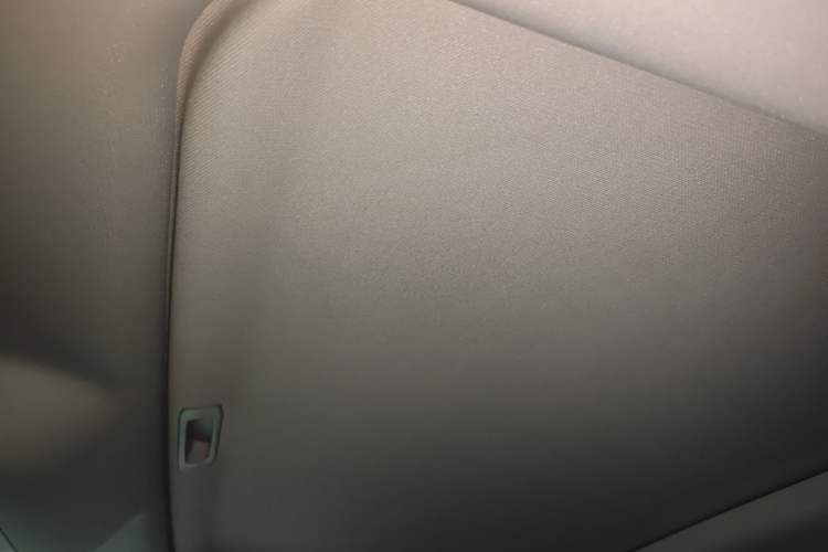 Used Tank 300 2024 2.0T Challenger Headliner