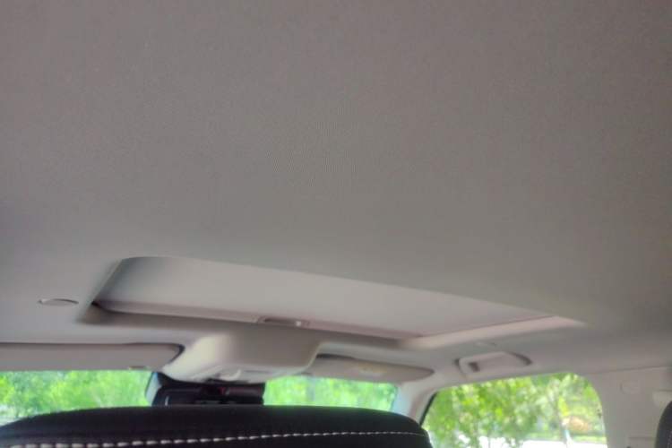 Used Tank 300 2024 2.0T Crosser Headliner