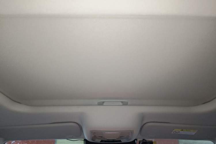 Used Tank 300 2024 2.0T Conqueror Headliner