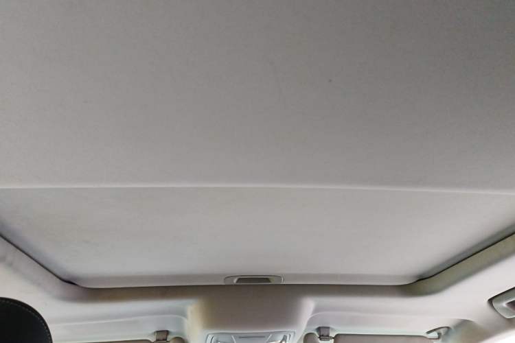 Used Tank 300 2024 2.0T Challenger Headliner