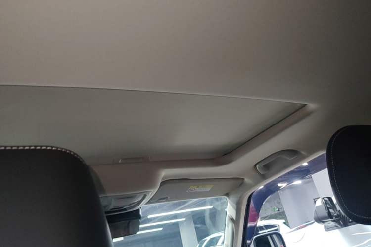 Used Tank 300 2024 2.0T Conqueror Headliner