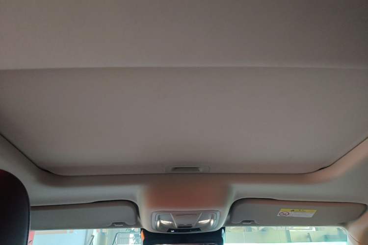 Used Tank 300 2024 330 3.0T V6 Headliner