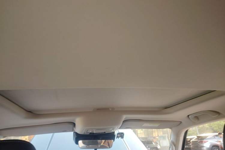 Used Tank 300 2024 2.0T Conqueror Headliner