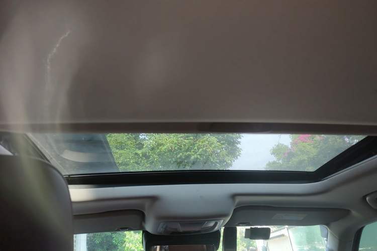 Used Tank 300 2024 330 3.0T V6 Headliner