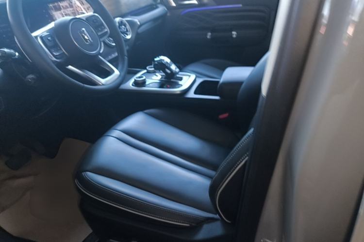 Used Tank 300 2024 2.0T Conqueror Left Front Seat