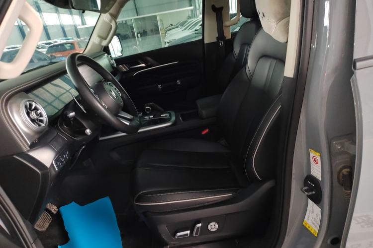 Used Tank 300 2024 2.0T Conqueror Left Front Seat