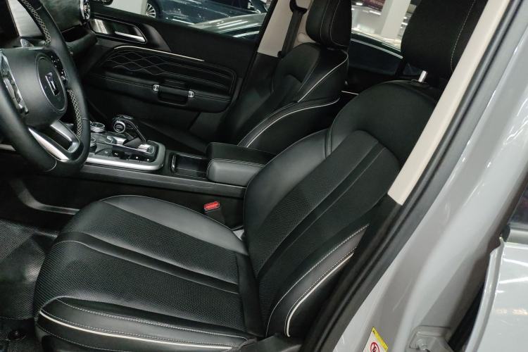 Used Tank 300 2024 2.0T Conqueror Left Front Seat