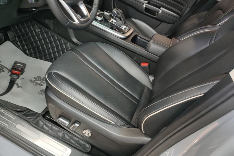 Used Tank 300 2024 2.0T Conqueror Left Front Seat