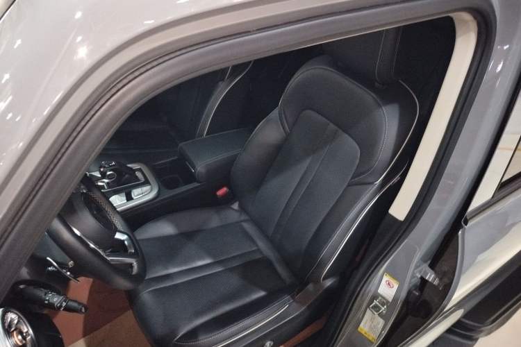 Used Tank 300 2024 2.0T Conqueror Left Front Seat