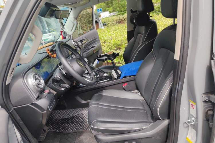 Used Tank 300 2024 2.0T Conqueror Left Front Seat