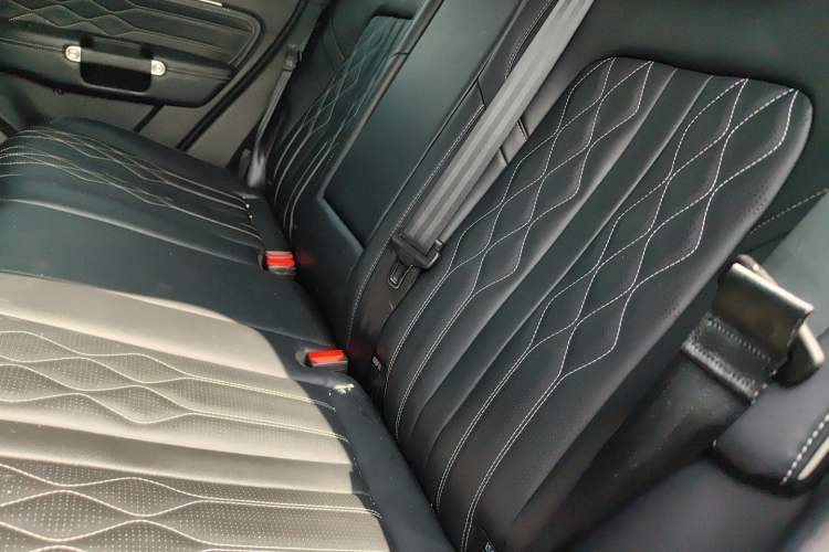 Used Tank 300 2024 2.0T Challenger Left Rear Seat