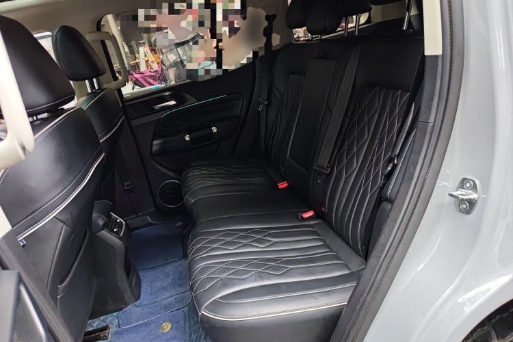 Used Tank 300 2024 2.0T Challenger Left Rear Seat