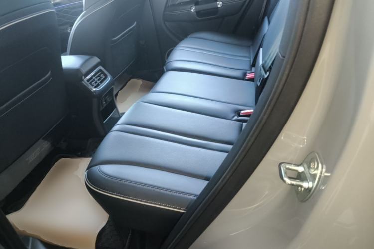 Used Tank 300 2024 2.0T Conqueror Left Rear Seat