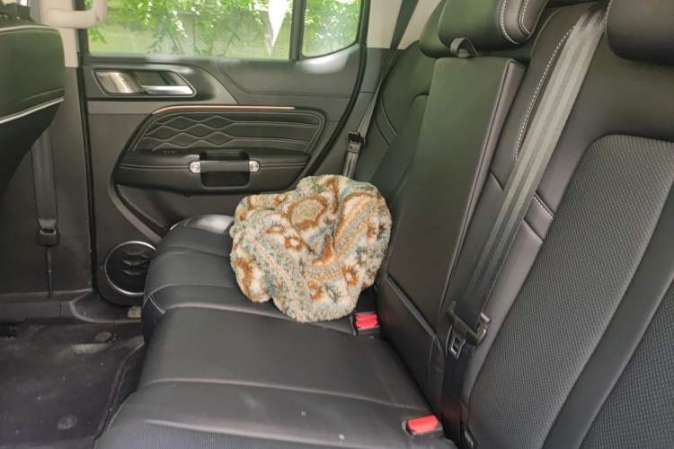 Used Tank 300 2024 2.0T Conqueror Left Rear Seat