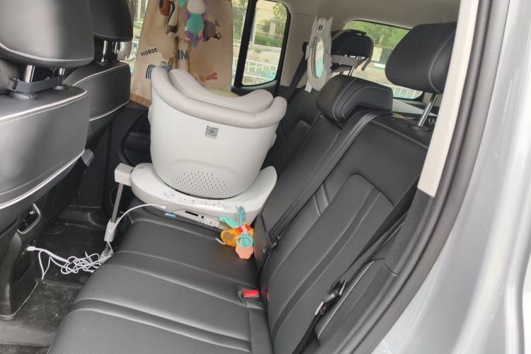 Used Tank 300 2024 2.0T Conqueror Left Rear Seat