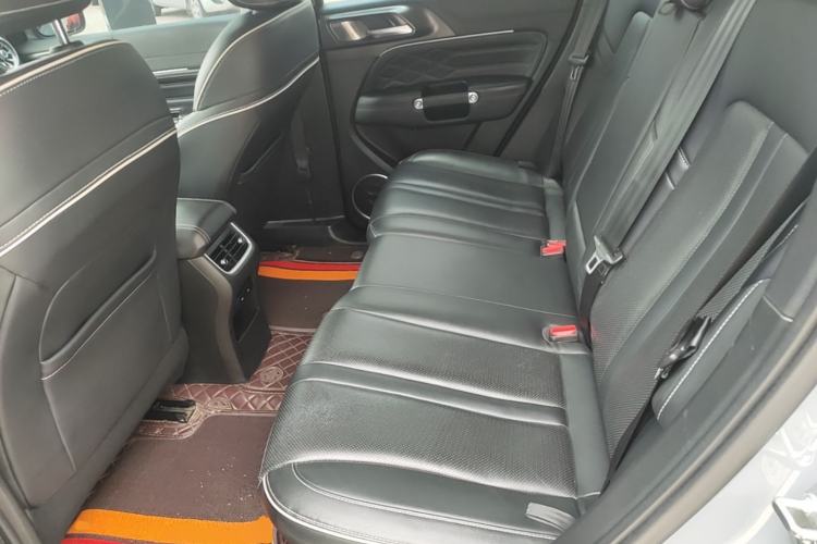 Used Tank 300 2024 2.0T Conqueror Left Rear Seat