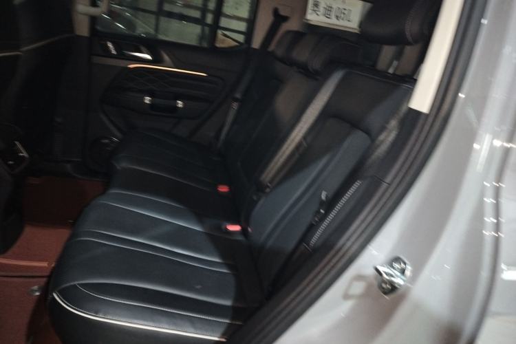 Used Tank 300 2024 2.0T Conqueror Left Rear Seat
