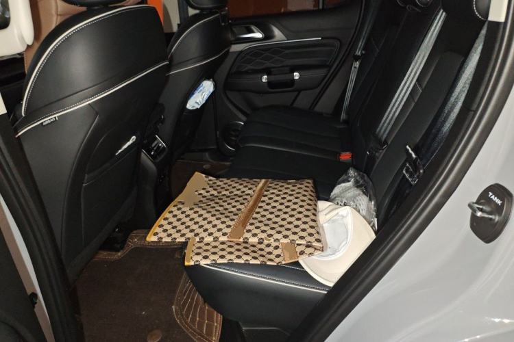 Used Tank 300 2024 2.0T Crosser Left Rear Seat