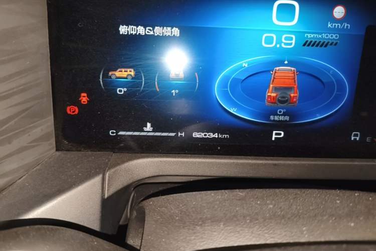 Used Tank 300 2024 2.0T Challenger Odometer Close Up