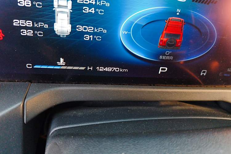 Used Tank 300 2024 2.0T Challenger Odometer Close Up