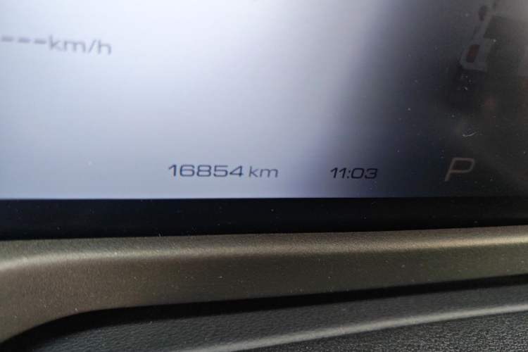 Used Tank 300 2024 330 3.0T V6 Odometer Close Up