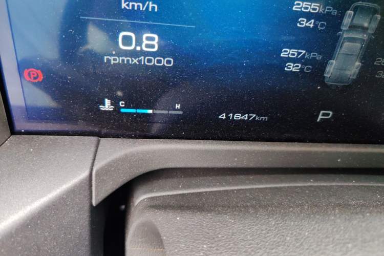 Used Tank 300 2024 2.0T Conqueror Odometer Close Up