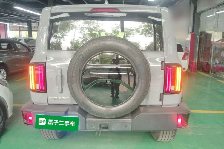 Used Tank 300 2024 2.0T Crosser Rear