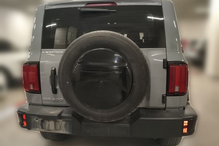Used Tank 300 2024 2.0T Challenger Rear