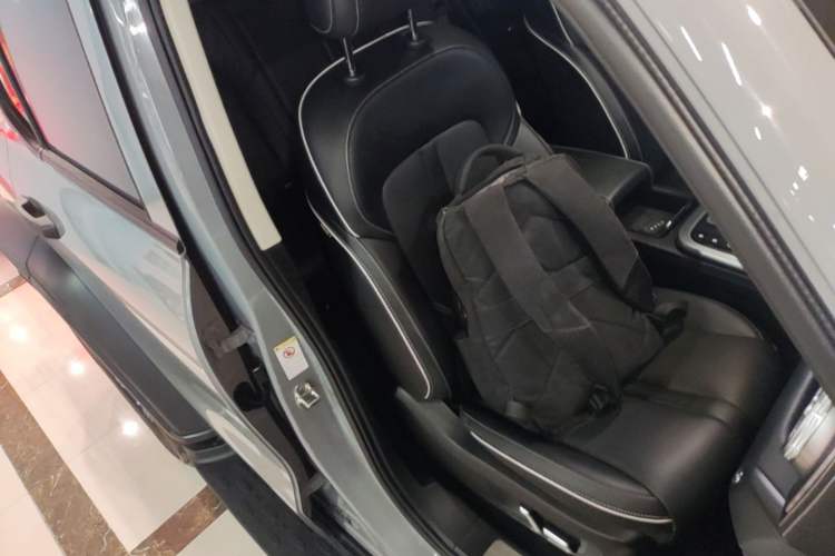 Used Tank 300 2024 2.0T Conqueror Right Front Seat