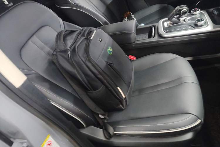 Used Tank 300 2024 2.0T Conqueror Right Front Seat